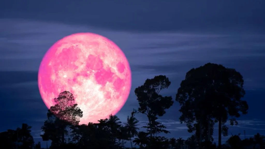 Fenomena Strawberry Moon: Tradisi dan Keistimewaannya di Tahun 2025