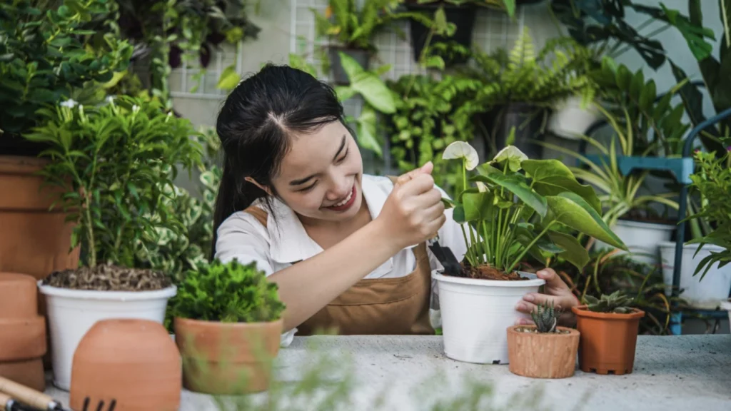 Urban Gardening: Tren Berkebun di Balkon yang Semakin Populer di Indonesia